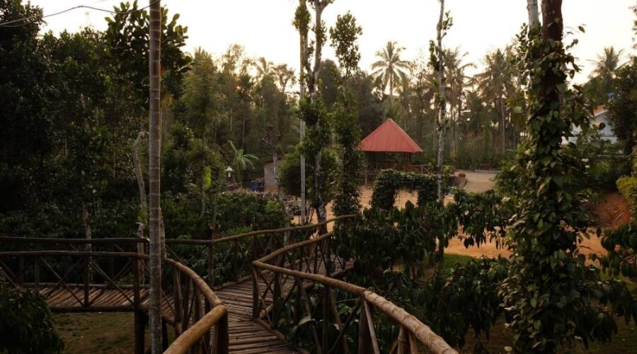 Treasuretrove Homestay, Wayanad 5